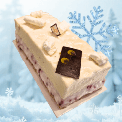 Bûche glacée Cristalline de La Maison Gélis, composée de glace au lait d’amande, sorbet litchi-framboise et dacquoise coco, décorée d’un flocon givré, présentée dans un décor hivernal.